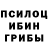 Галлюциногенные грибы Psilocybe _Vido_WOT _