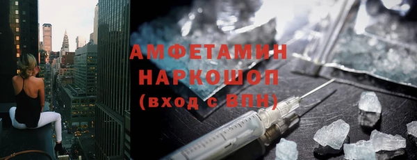 индика Алексин