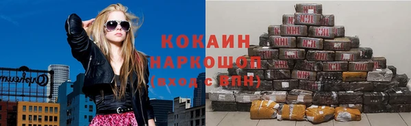 индика Алексин