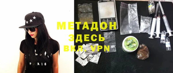индика Алексин
