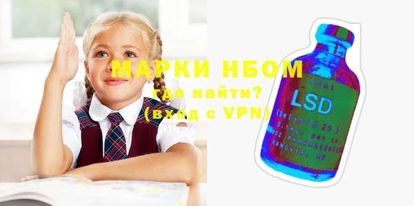 индика Алексин