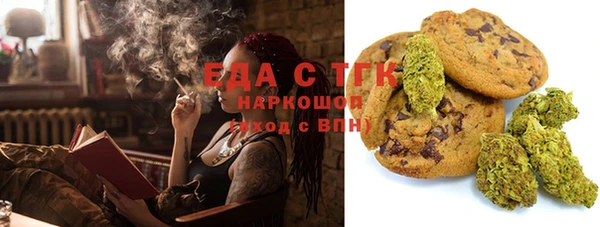 индика Алексин